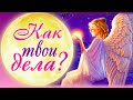 Мой хороший человечек, как ты? Как твои дела?