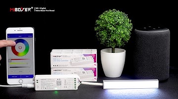 Miboxer WL5 Pairing Wifi Network to enjoy Google Alexa Echo voice control