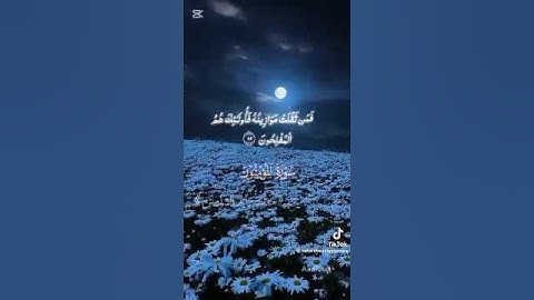 تلاوة جميله بصوت القارئ أحمد وليد الشاوش وفقه الله ماتيسر من سورة المؤمنونتلاوات ليبية #ليبيا