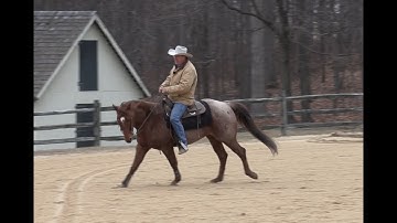 Introducing the Counter Canter (Episode 146) - Herm Gailey: A Lifetime with Horses