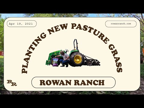 Planting New Pasture Grass