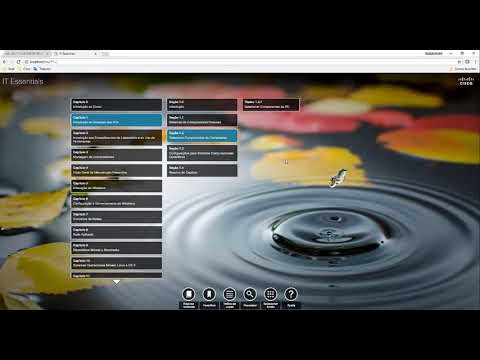 IT Essentials Cap 1