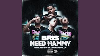 Need Hammy - Bris