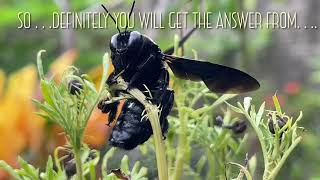 The Story Behind The Love Care Of Universe And Mother Nature .