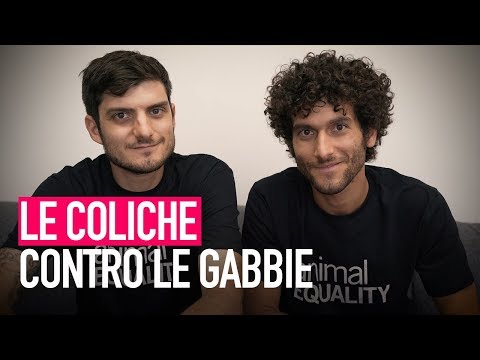 Elimina per sempre le gabbie con Le Coliche