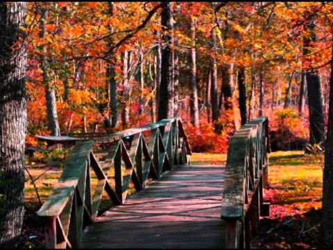 გაივლის დრო და ... მოგენატრები