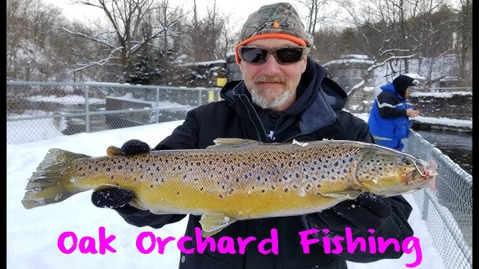 September 2nd/3rd Lake Ontario Fishing Report from Oak Orchard Creek in  Orleans County, NY 