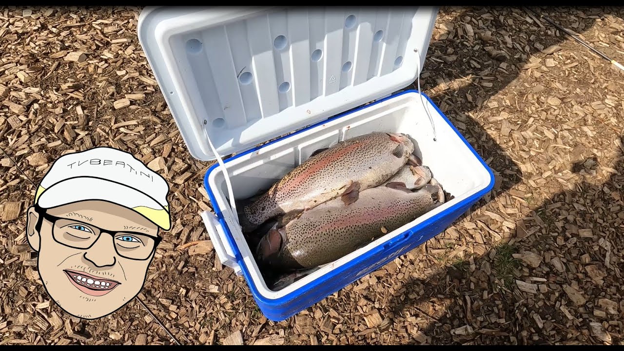 1150 kg Stenvad Put and Take den her Weekend