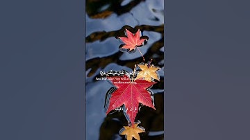 قران كريم ارح قلبك وسمعك #قران_في_دقيقة #quran #اسلام_صبحي #قرآن @قران_في_دقيقه