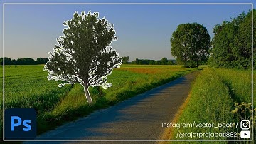 CREATE REALISTIC 3D TREE render IN ADOBE PHOTOSHOP