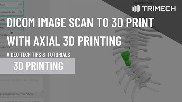 DICOM Image Scan to 3D Print with Axial 3D Printing