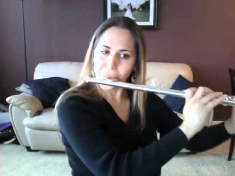 Pirates of the Caribbean - Flute (The Black Pearl)