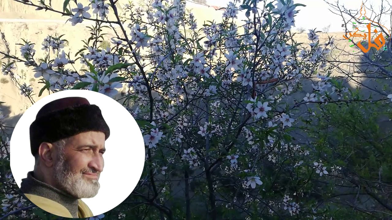 ما موقف السلف الصالح من الصوفية و التصوف   ( الشيخ فريد الأنصاري رحمه الله)