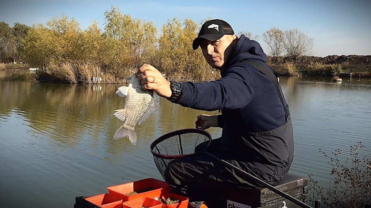 Antrenamente la carasi de talie mare