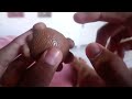 Tortuguita de Baunilha Original - [Ferrero]