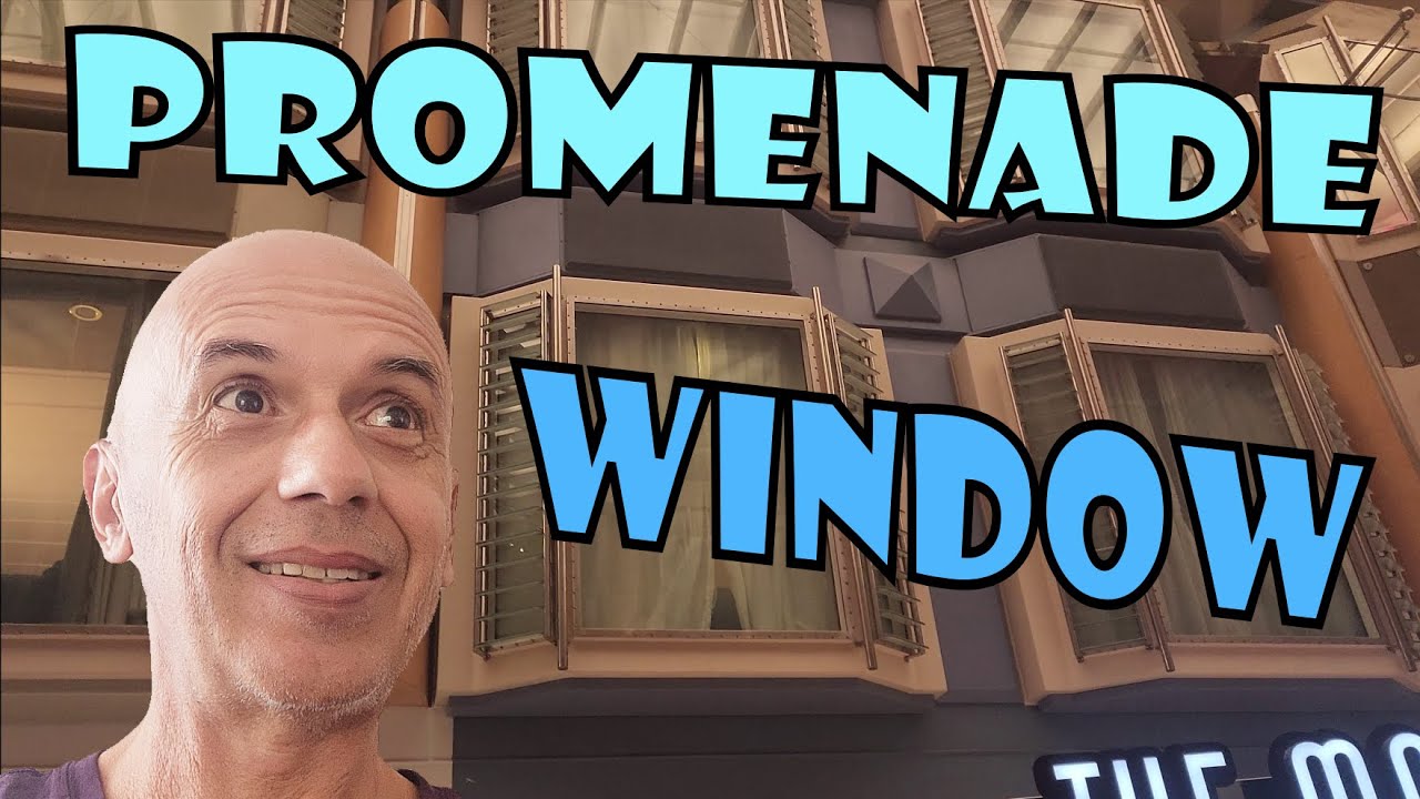 Freedom of the seas promenade view stateroom 