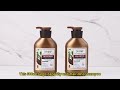 Best Anti-Hair Loss Shampoo for Thinning Hair ✨ DR·WWP Biotin &amp; DHT Blocker Review