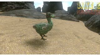 I tame a dodo in ark survival evolve