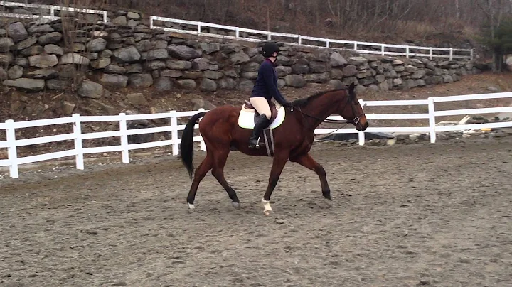 Chelsea Crozier RRP Thoroughbred Makeover 2016 Video