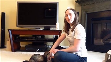 Training your Ferret to Stand Up