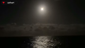 سورة القصص الشيخ محمد ساعي نصر الجرزاوي تلاوت نادرة