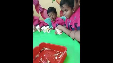 Pre kg activity (segregation of pulses).