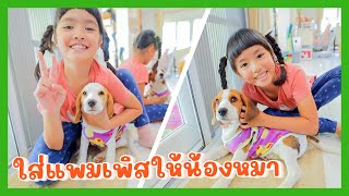 YimYamFamily | ใส่แพมเพิสให้น้องหมา