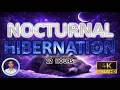 Nocturnal Hibernation | Precision Engineered Deep Sleep Sound | 12 Hours Anxiety & Stress Relief