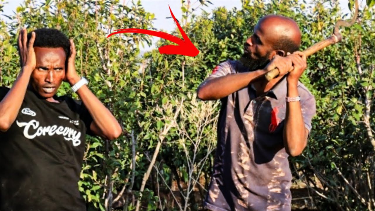 Uuff 👉😭😭Fayon Raju waan gote  Warra Soddaatii himte January 24, 2026