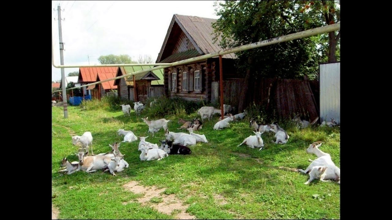 Даренкино подворье