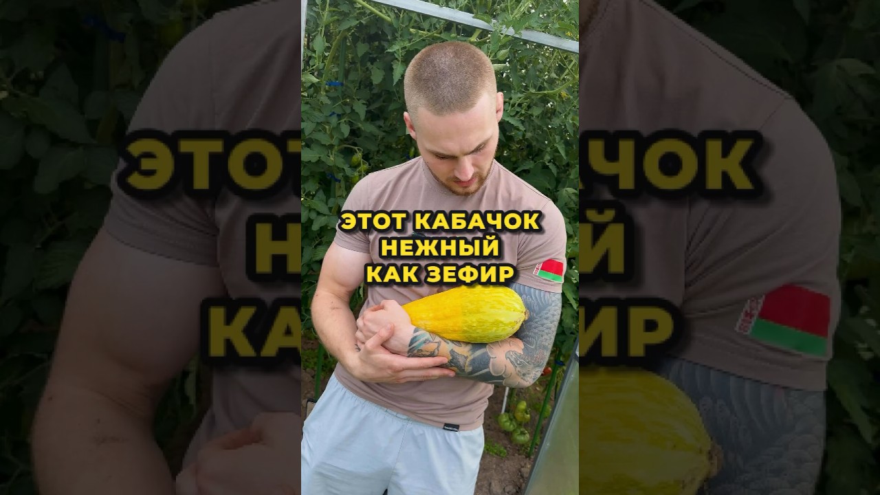 Обязательно посадите этот гибрид кабачка