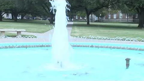 Campus Sequence: Lizzy Witkowski