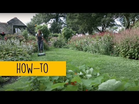 Hoe maak je de tuin klaar voor het nieuwe seizoen?