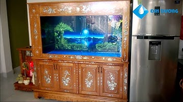 Hồ cá rồng gỗ gõ đỏ khảm xà cừ