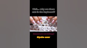The cutest keyboard in the world? #ai #asmr #relax #cat #cute #keyboard