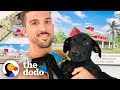 3-Legged Rescue Dog Is There For His Dad After Divorce | The Dodo