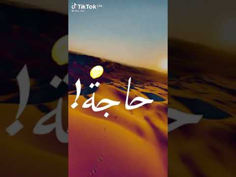 حلات واتس أغنية زهره أسر ياسين
