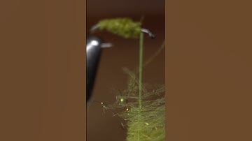 Petejean CDC caddis #shorts #flytying
