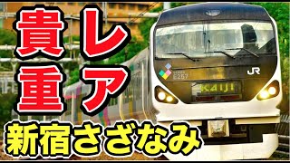 【レア貴重】元中央線の白い特急列車が新宿駅にきました！！！｜新宿さざなみ2号 E257系0番台
