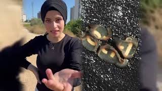 مجموعة فيديوهات مضحكة، أفضل مدونة، أحب عملك