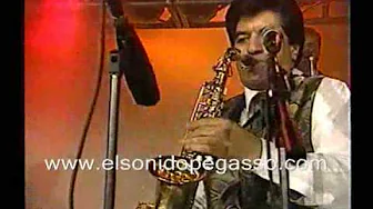 FITO OLIVARES - AGÜITA DE MELON FITO OLIVARES - AGÜITA DE MELON