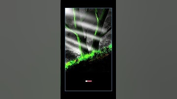 Time-lapse Forest ART on Procreate #art #procreate #speedpaint #forest #youtube