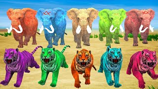 Mammoth Elephant Fight with 10 Giant Tigers to Save Cow Cartoon Buffalo Vs Tiger Wolf Vs Mammoth