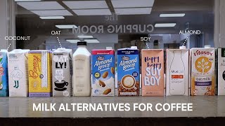Milk Alternatives for Coffee (Tested & Compared)
