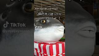 2025年10月11日
