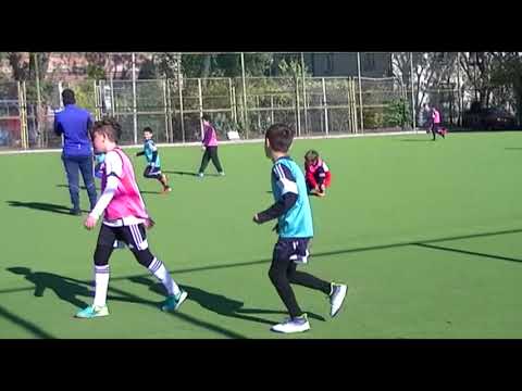 ამხანაგური შეხვედრა