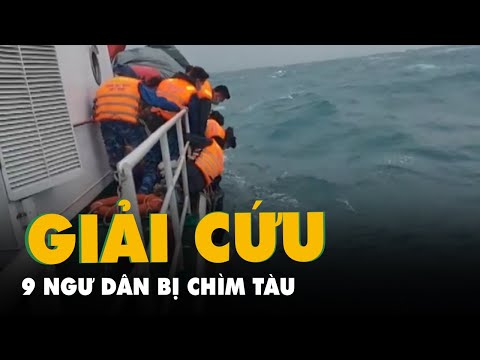 Video: Có bao nhiêu con chim chết trong vụ tràn dầu?