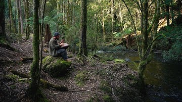 Relaxing Handpan Music In A Rainforest
