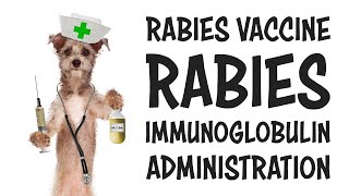 Rabies Vaccine and Immunoglobulin for Dog Bite Emergency