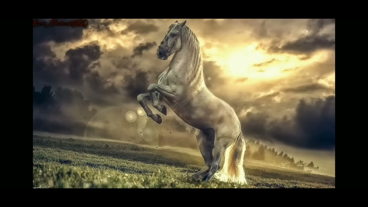 Самый красивый нашид!!! Всем слушать